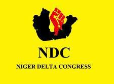 Lagos NDC excos feud over conduct of primaries, results