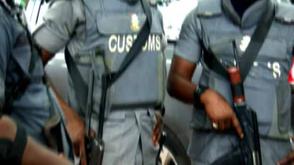 Customs intercepts 36 African Grey Parrots being smuggled to Ghana