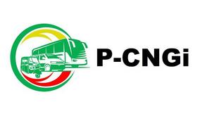 CNG takes the wheel as Lagos drivers ditch Petrol