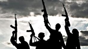Insurgents attack vigilante office in Borno, kill three