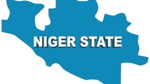 Widow succumbs to depression after husband’s brutal killing in niger
