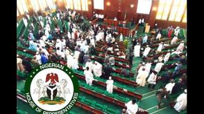 Reps ask FG to settle €1.1m OACPS-EU debt to avert embarrassment, sanctions