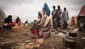 Stakeholders demand 10% budget for agriculture to combat looming food crisis