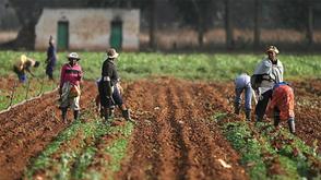 NGO connects farmers to school feeding programmes to boost local agriculture