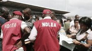 NDLEA recovers $17.7million travelers’ cheques in children books