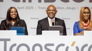 Fear, hesitation hindering progress of Power sector despite Tinubu's good intentions — Elumelu