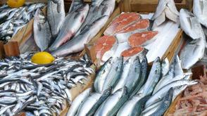 Fishery, aquaculture to hit N4trn in FG’s ambitious growth plan