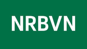 NRBVN alone won’t fix Nigeria’s foreign exchange crisis