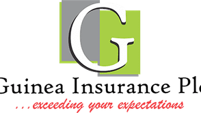 Guinea Insurance rebounds with N477m profit, reversing previous year’s loss
