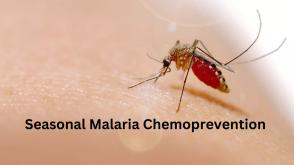 Kaduna Govt Inaugurates Committee for Seasonal Malaria Chemoprevention