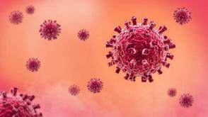 3 cases of monkey pox reported in Burundi