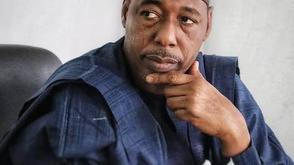 Zulum appoints DG for Borno state agency for great green wall