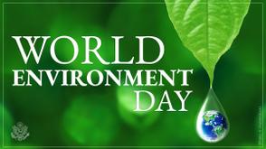 World Environment Day: A global call to restore our land, combat desertification to secure our future