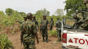 Terror related deaths drop by 81% since 2015 — Presidency