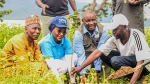 50,000 target: FirstBank, NCF extend tree planting to FCT