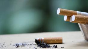 CAPPA tasks FG, stakeholder on tobacco industry tactics by sustaining #smokefreenollywood campaign