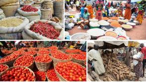 Food prices plummet in Yobe, Borno, and Adamawa