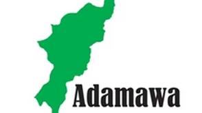 Adamawa residents commend NEDC for community devt projects