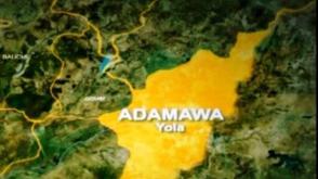 Three people are feared dead following a canoe accident in Adamawa