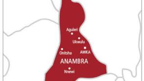 Nibo killings: Vigilante director, survivor give account of deadly attacks