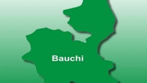 World Environment Day: Bauchi school children rise against deforestation, plants trees