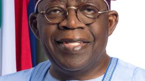 Tinubu’s foreign policy scorecard: A year in review