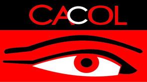 Rivers Crises: CACOL calls on warring factions to embrace peace