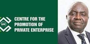 Nigeria’s MSMEs bleed N10Trn annually to employee fraud, occupational corruption - CPPE