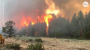 U.S. wildfire triggers evacuation and health alerts