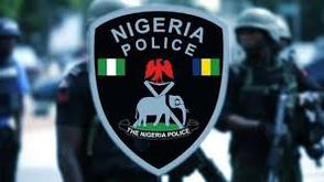 Nigeria police refute claims of 4pm curfew ahead of protest