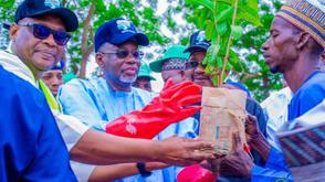 JISEPA, UNICEF launch tree planting drive to tackle desertification in Jigawa