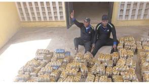 Troops arrest two fake policemen with cannabis in Taraba