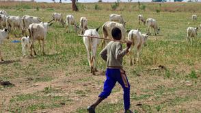 Stakeholders in Nasarawa call on farmers, herders to embrace peace