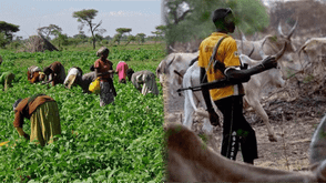 Farmer loses five children in Benue boat tragedy