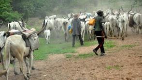 Fulani-Farmers clashes: Kwara Gov’t to prioritise education for herders’ children to curb insecurity