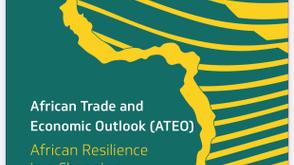 Africa’s real GDP projected to grow by 4% in 2025 - Afreximbank