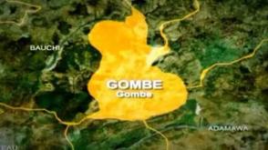 Gombe taps New Zealand expertise to revolutionize livestock value chain