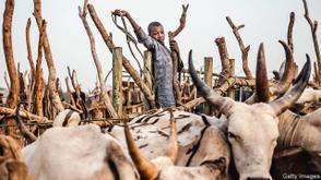 Kwara to prioritise education for herders’ children to end insecurity