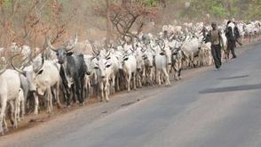 Suspected herdsmen launched an attack on a community in benue ,resulting in the deaths of 2 soldiers, 7 villagers