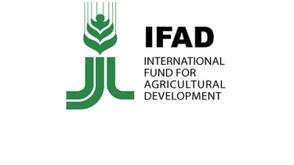 IFAD LIFE-ND: Cross River making impact, says country director