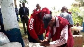 Oyo NDLEA arrests 280 drug trafficking suspects in 8 months
