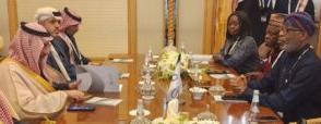 Nigeria, S/Arabia, deepen ties on solid mineral exploration