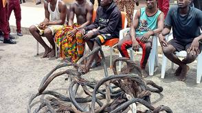 Amotekun corps foils N5.6m cable theft in Osun