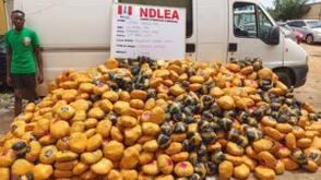 NDLEA recovers 563kg skunk, others in Bayelsa warehouse, arrests 4