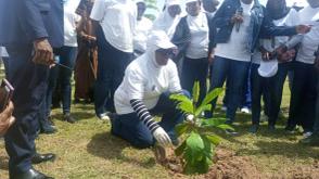 Desertification Day: Air Force wives lead advocacy for green future