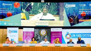 Nigeria maps 10-year youths-led agricultural renewal plan
