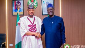 Chinese investors pledge $150m for multi-sector devt in Katsina