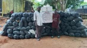 NDLEA destroys 66,000kg of cannabis, arrests 54 suspects in Edo crackdown