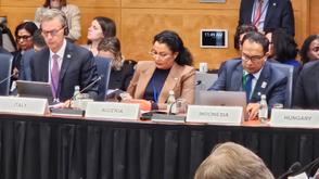 Nigeria champions climate resilience with innovative finance at global forum