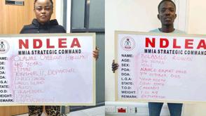 NDLEA uncovers drug syndicate concealing tramadol in frozen snails, bulbs, clothes